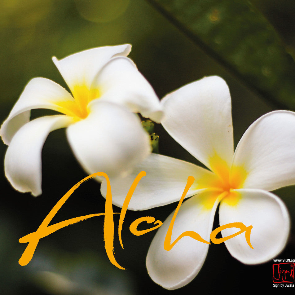 Klappkarte „Aloha"