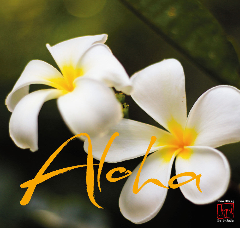 Klappkarte „Aloha"