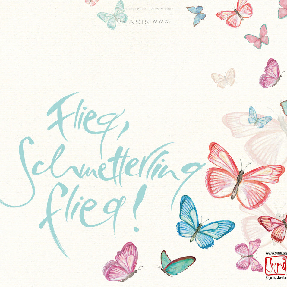 10 Klappkarten "Flieg, Schmetterling flieg!"