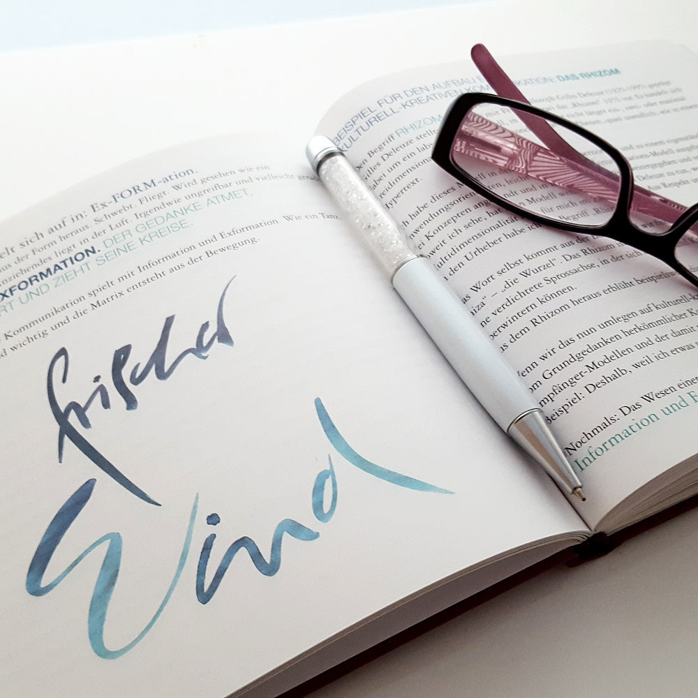 "So schön kann Wirtschaft sein" - Buch von Karl Gamper