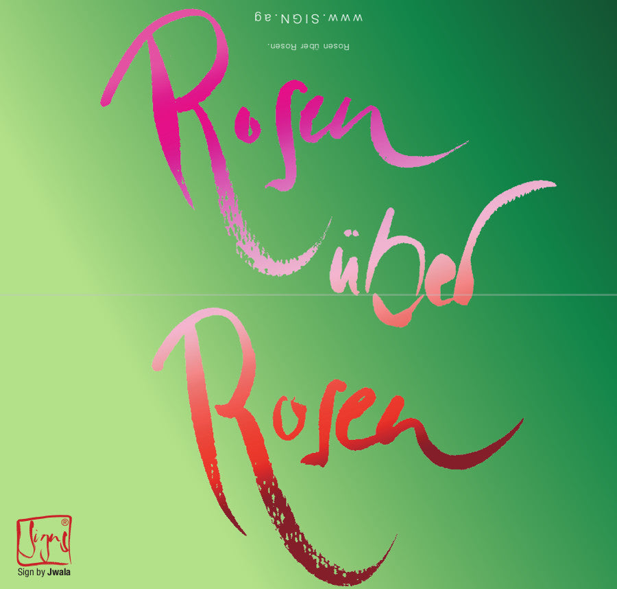 10 Klappkarten "Rosen über Rosen"