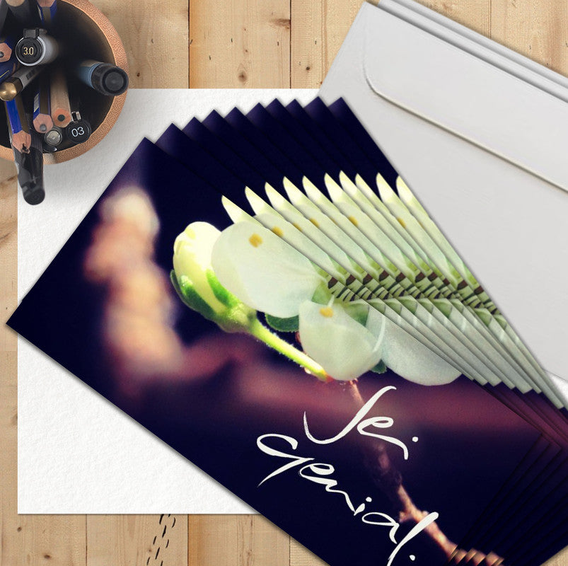 10 Klappkarten "Sei genial"