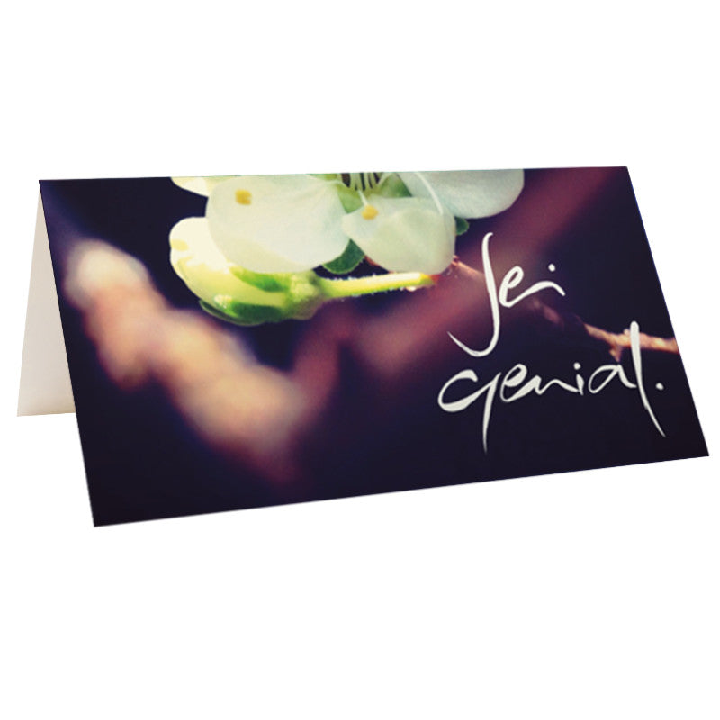 10 Klappkarten "Sei genial"