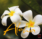 10 Klappkarten "Aloha"