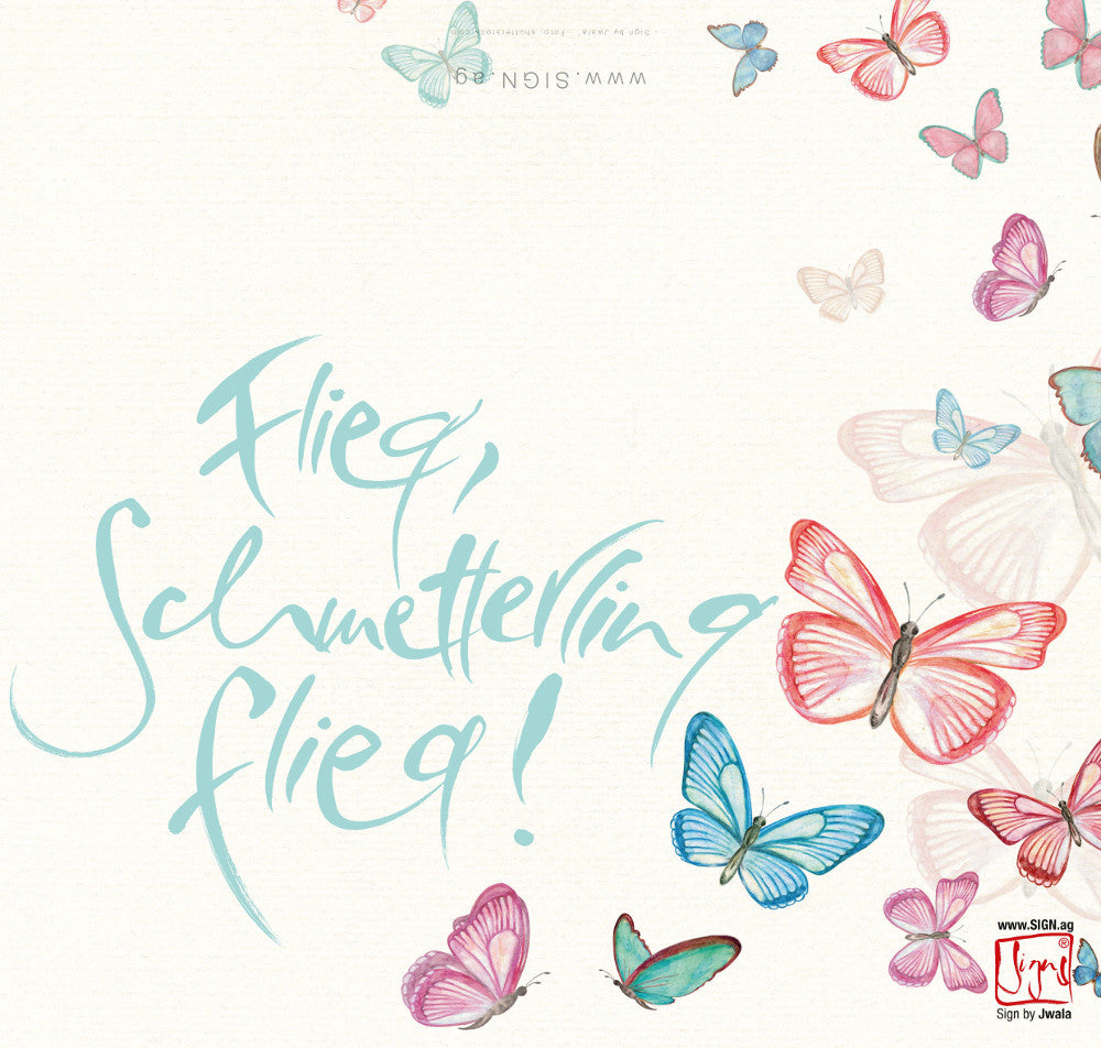 10 Klappkarten "Flieg, Schmetterling flieg!"